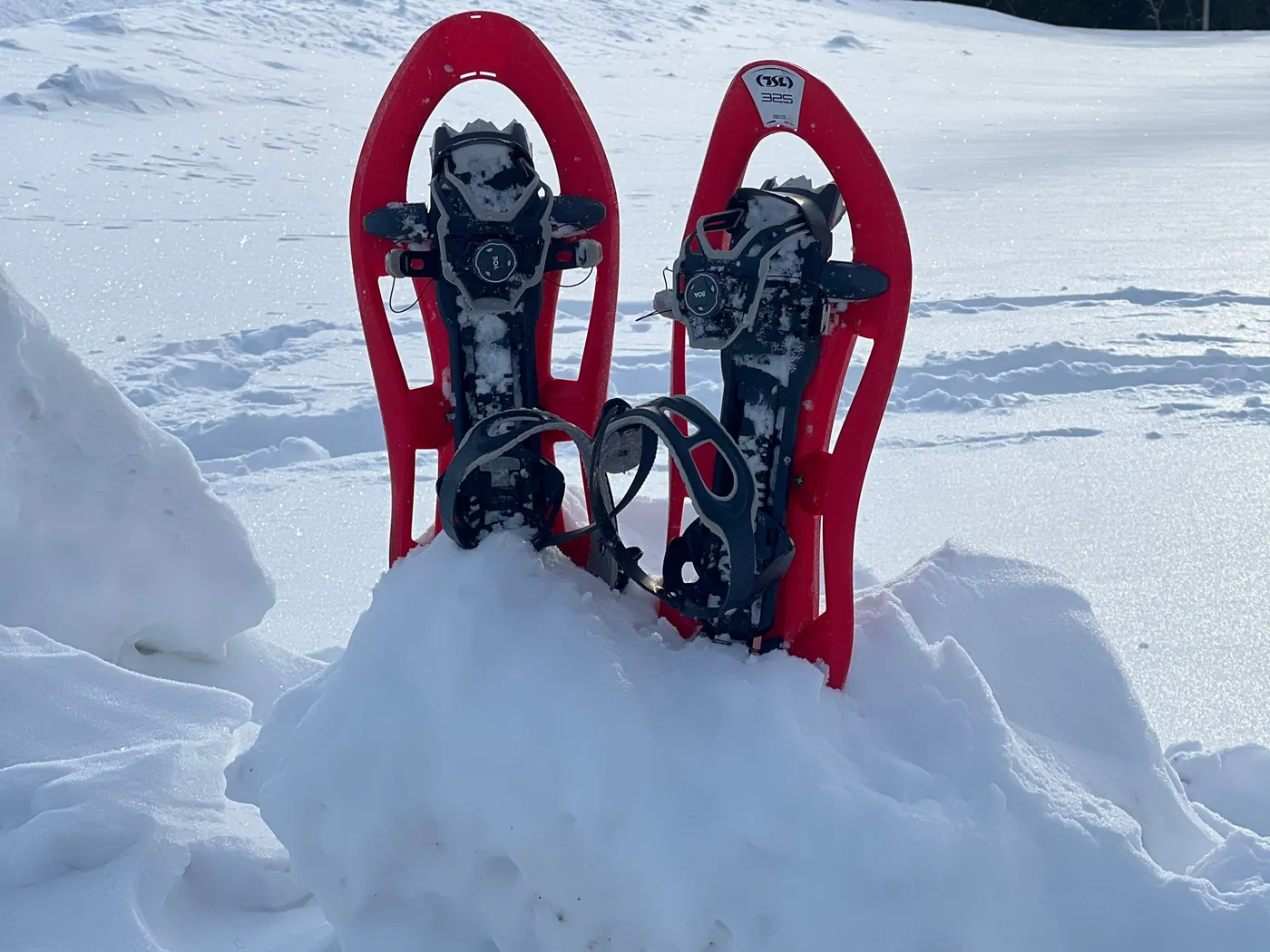 Pair of red snowshoes standing upright in deep snow