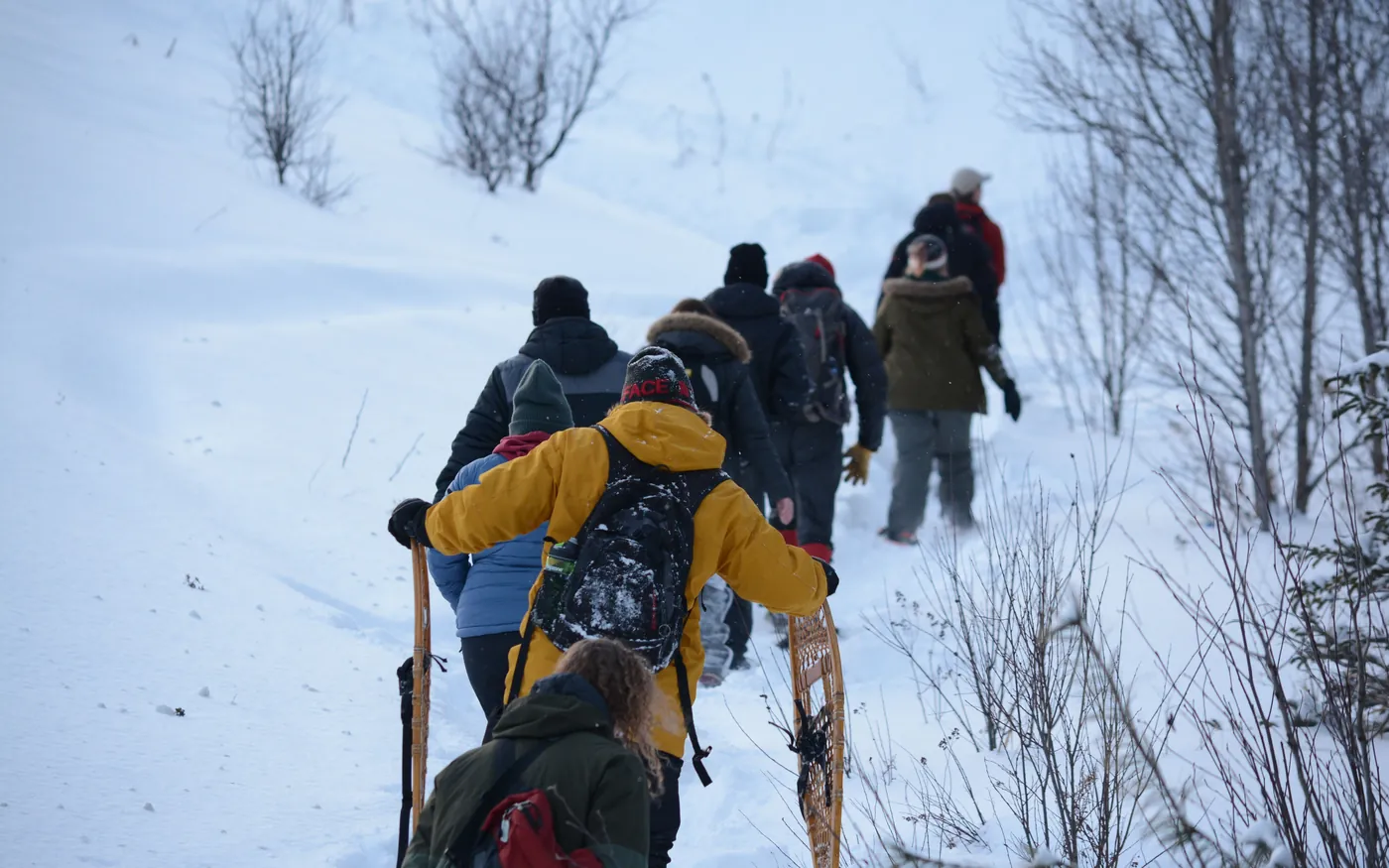 Snowshoe group hiking uphill through blue Arctic twilight